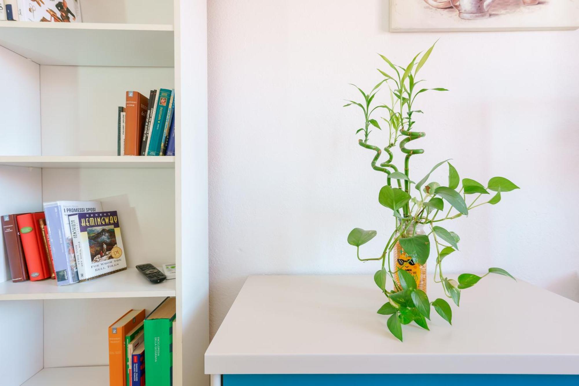 B&B Pothos - Eng Ita - Air Conditioning Wi-Fi Fridge Netflix Local Guide - Aria Condizionata, Frigo, Internet, Guida Locale Кальяри Экстерьер фото